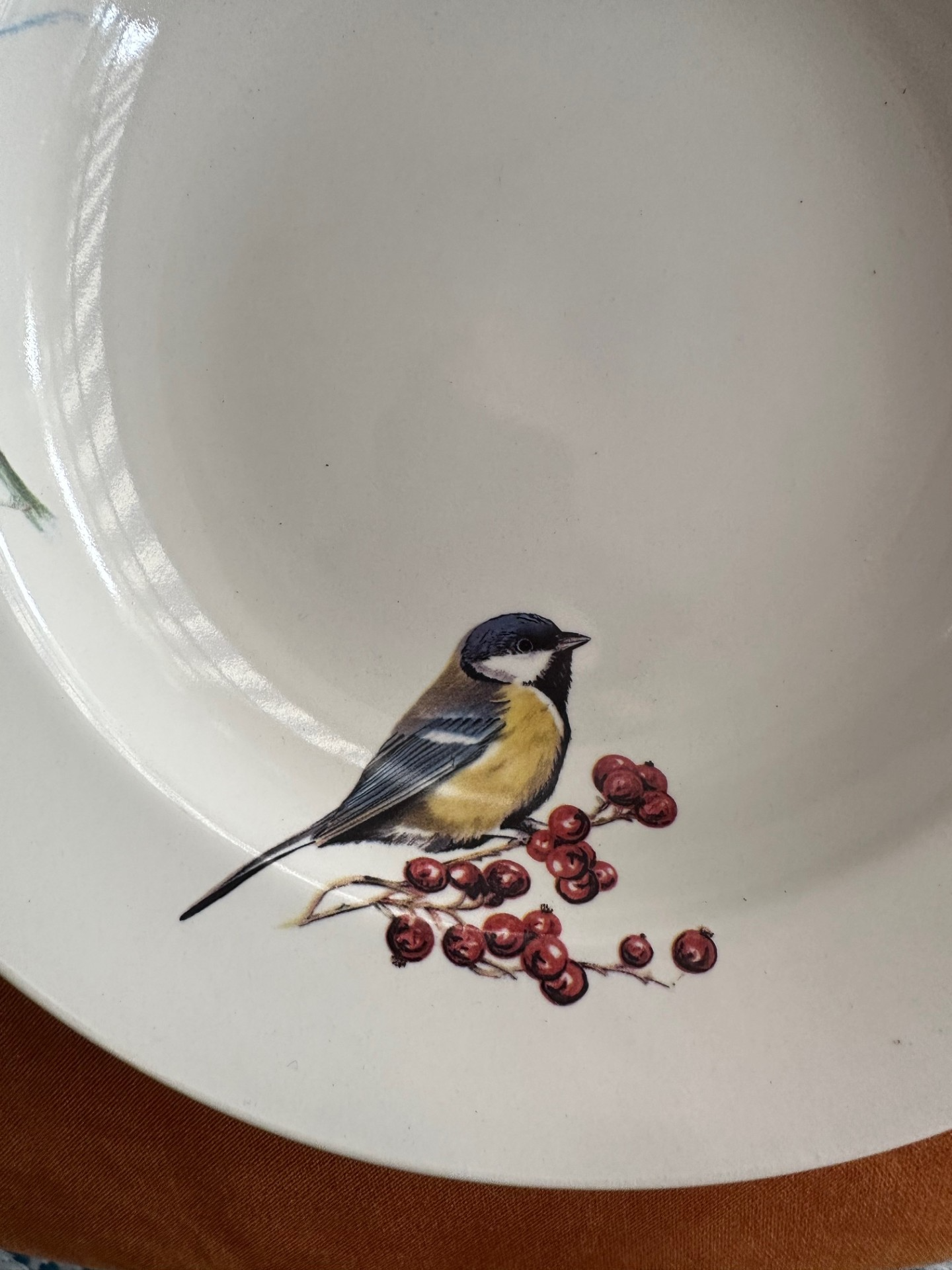 Puur Natuur” Deep Plate – by HVD